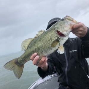 hideup 永野総一朗 ブログ写真 2020/07/01