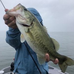 hideup 永野総一朗 ブログ写真 2020/07/01