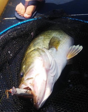 hideup 永野総一朗 ブログ写真 2020/07/05