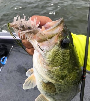 hideup 永野総一朗 ブログ写真 2020/07/08