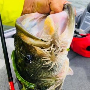 hideup 永野総一朗 ブログ写真 2020/07/08