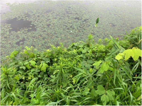 hideup 永野総一朗 ブログ写真 2020/07/10