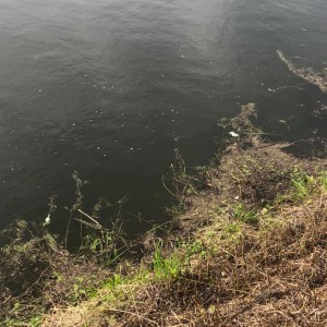 hideup 永野総一朗 ブログ写真 2020/07/11