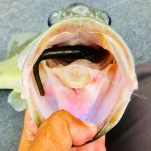 hideup 永野総一朗 ブログ写真 2020/07/13