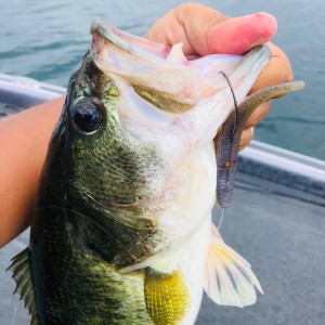 hideup 永野総一朗 ブログ写真 2020/08/02