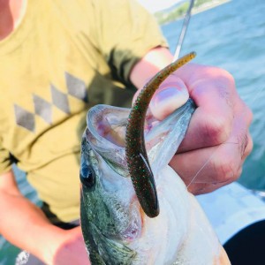 hideup 永野総一朗 ブログ写真 2020/08/02