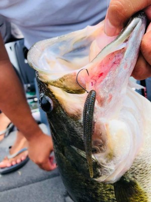 hideup 永野総一朗 ブログ写真 2020/08/06