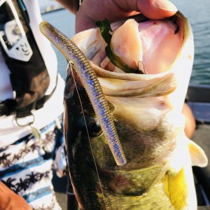 hideup 永野総一朗 ブログ写真 2020/08/07