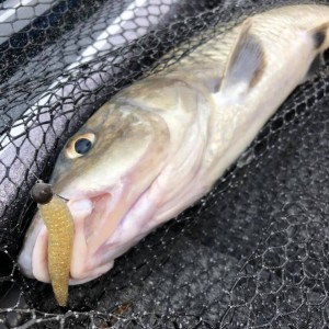 hideup 永野総一朗 ブログ写真 2020/08/09