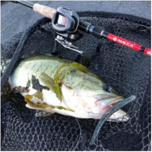 hideup 永野総一朗 ブログ写真 2020/08/12