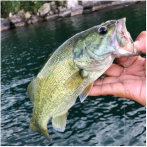 hideup 永野総一朗 ブログ写真 2020/08/12