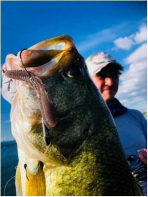 hideup 永野総一朗 ブログ写真 2020/08/12