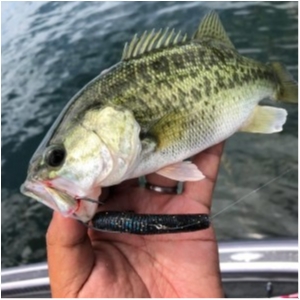 hideup 永野総一朗 ブログ写真 2020/08/12