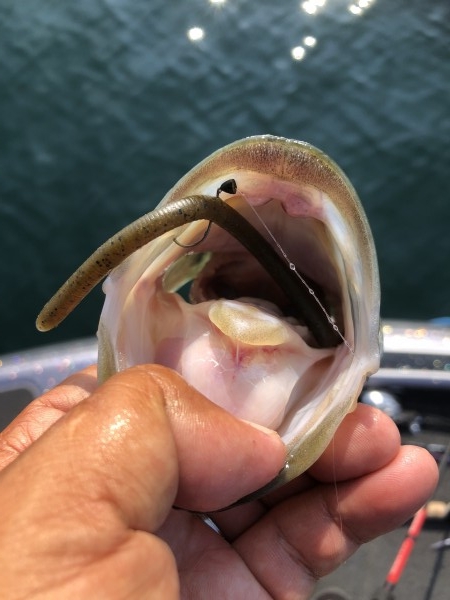 hideup 永野総一朗 ブログ写真 2020/08/21