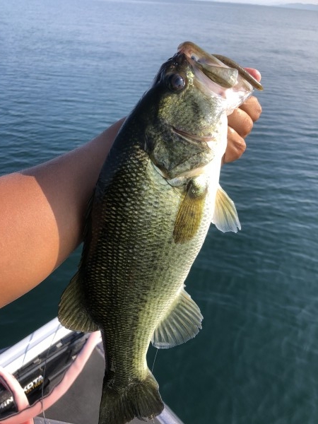 hideup 永野総一朗 ブログ写真 2020/08/21