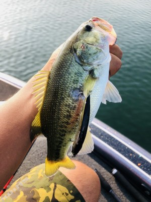 hideup 永野総一朗 ブログ写真 2020/08/21