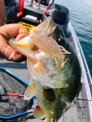 hideup 永野総一朗 ブログ写真 2020/08/27