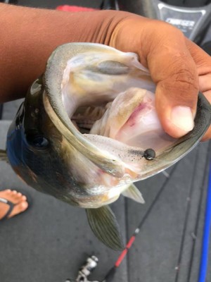 hideup 永野総一朗 ブログ写真 2020/09/05