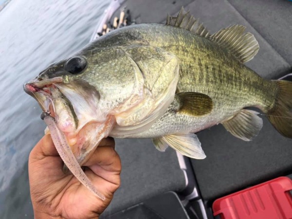 hideup 永野総一朗 ブログ写真 2020/09/05