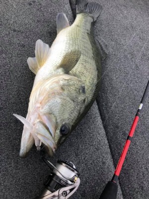 hideup 永野総一朗 ブログ写真 2020/09/05