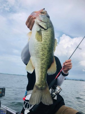 hideup 永野総一朗 ブログ写真 2020/09/05