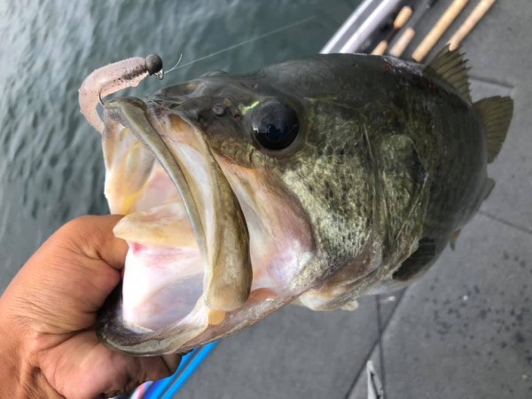 hideup 永野総一朗 ブログ写真 2020/09/05