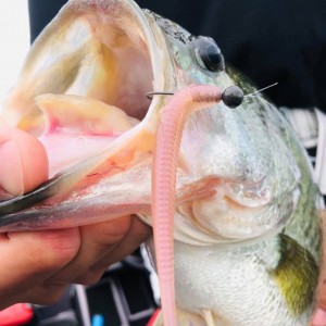 hideup 永野総一朗 ブログ写真 2020/09/05