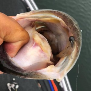 hideup 永野総一朗 ブログ写真 2020/09/05