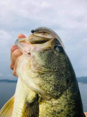 hideup 永野総一朗 ブログ写真 2020/09/05