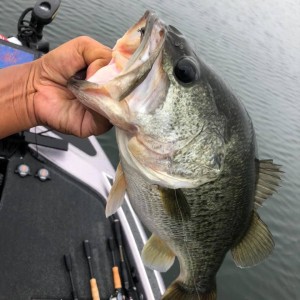 hideup 永野総一朗 ブログ写真 2020/09/05