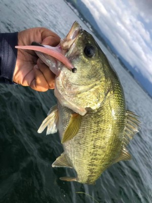 hideup 永野総一朗 ブログ写真 2020/09/06