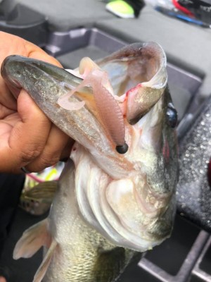 hideup 永野総一朗 ブログ写真 2020/09/06