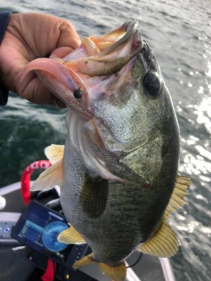 hideup 永野総一朗 ブログ写真 2020/09/06