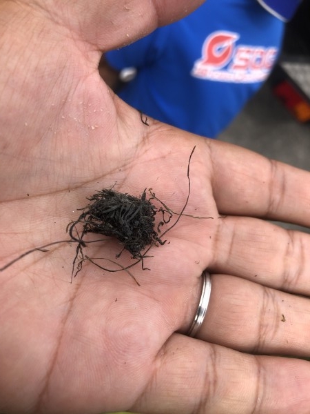 hideup 永野総一朗 ブログ写真 2020/09/08