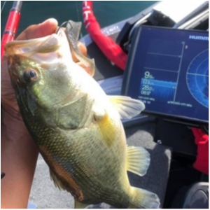 hideup 永野総一朗 ブログ写真 2020/09/12