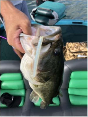 hideup 永野総一朗 ブログ写真 2020/09/14