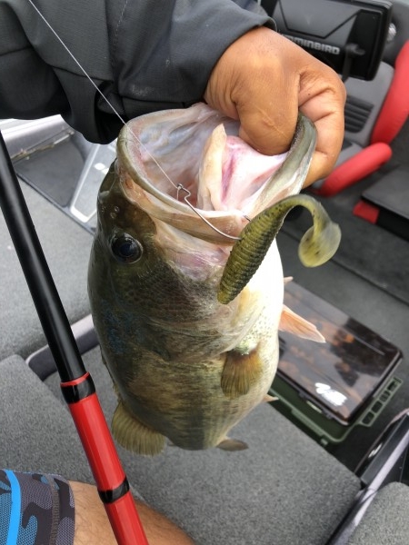 hideup 永野総一朗 ブログ写真 2020/09/16