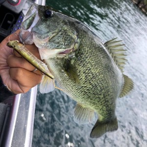 hideup 永野総一朗 ブログ写真 2020/09/18