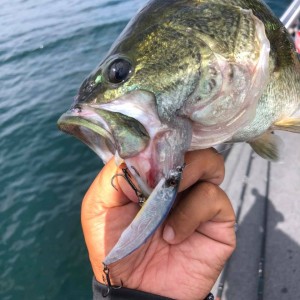 hideup 永野総一朗 ブログ写真 2020/09/18