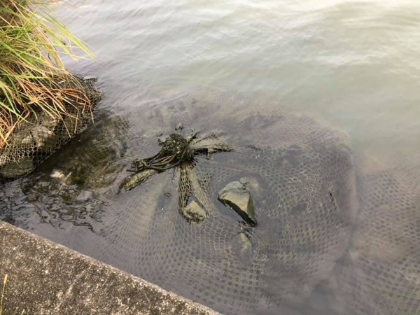 hideup 永野総一朗 ブログ写真 2020/09/25