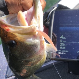 hideup 永野総一朗 ブログ写真 2020/09/29