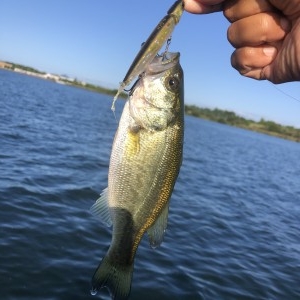 hideup 永野総一朗 ブログ写真 2020/09/29