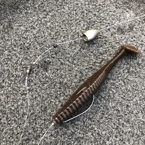 hideup 永野総一朗 ブログ写真 2020/09/29