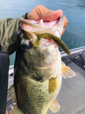 hideup 永野総一朗 ブログ写真 2020/09/30