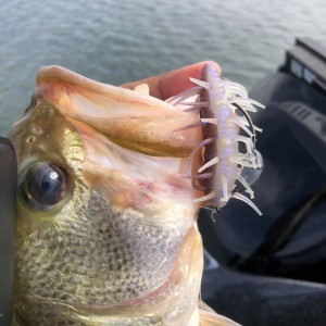 hideup 永野総一朗 ブログ写真 2020/10/09