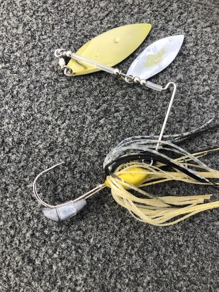 hideup 永野総一朗 ブログ写真 2020/10/11