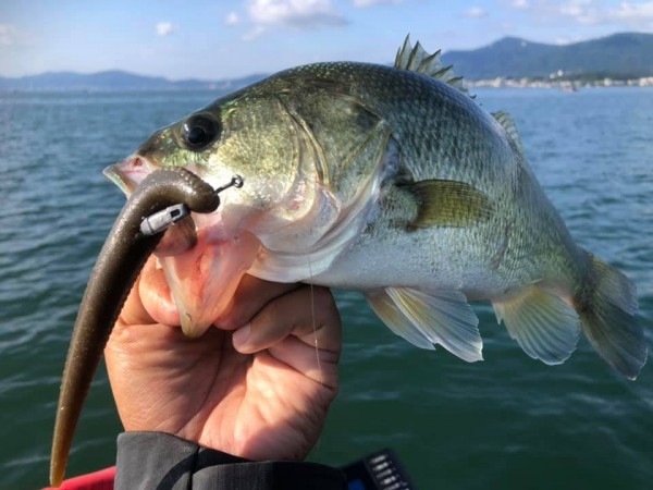 hideup 永野総一朗 ブログ写真 2020/10/15