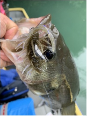 hideup 永野総一朗 ブログ写真 2020/10/16