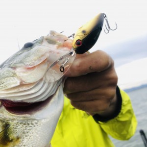 hideup 永野総一朗 ブログ写真 2020/10/16