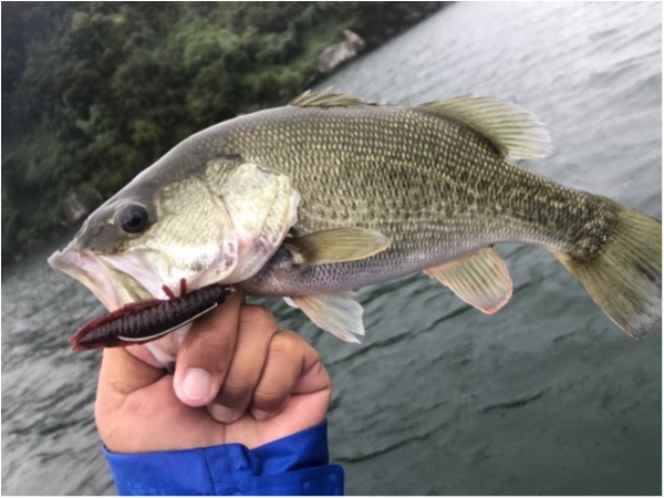 hideup 永野総一朗 ブログ写真 2020/10/19